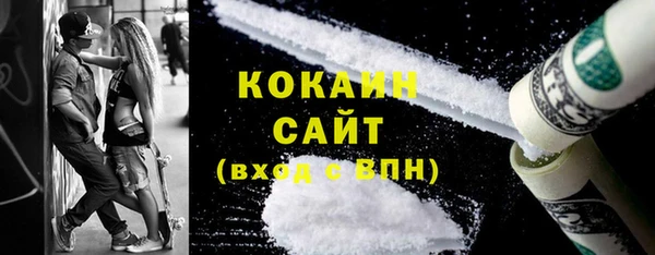сатива Костерёво