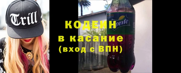 прущие грибы Коряжма