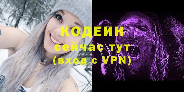 соль ск Кодинск