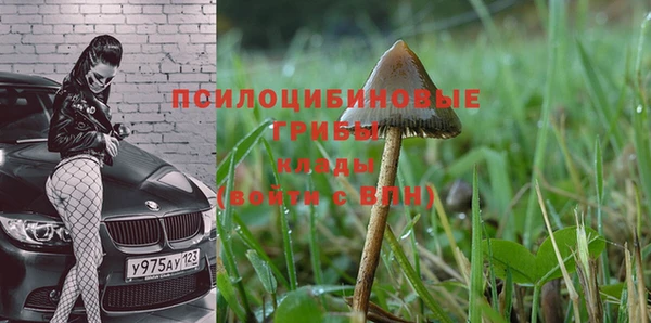 синтетический гашиш Козельск