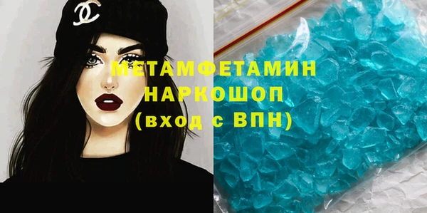 прущие грибы Коряжма