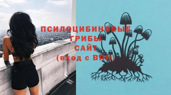 мескалин Козловка