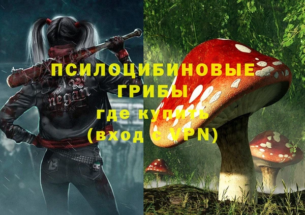 прущие грибы Коряжма